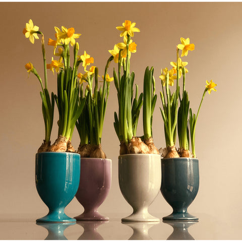 Gobelet 597 | Decor 053