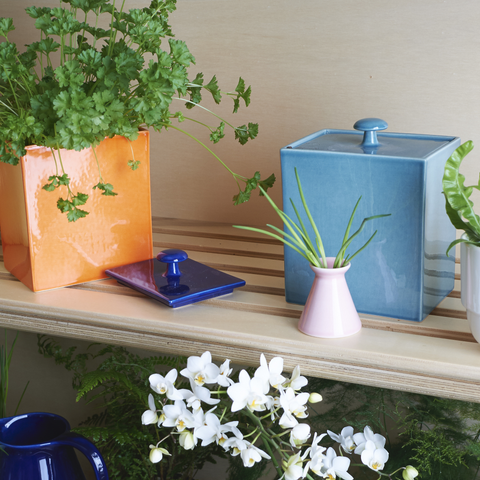 Boîte 870 | Decor 113