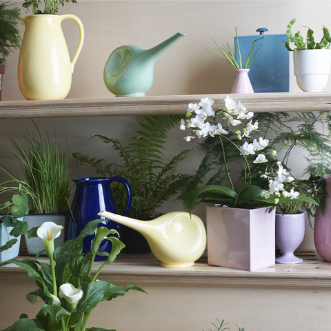 Boîte 870 | Decor 053