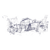 Coupe 562 | Decor 055