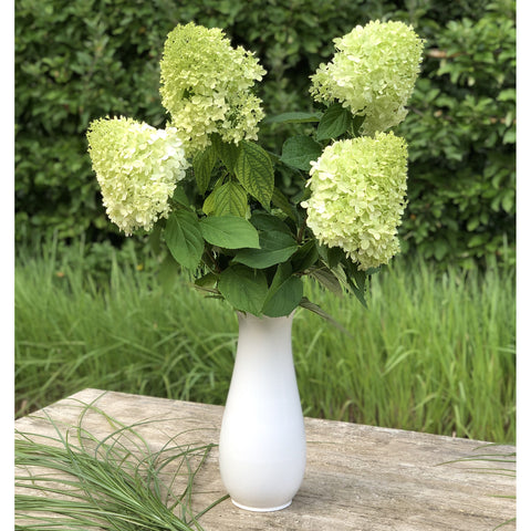 Vase 722C | Decor 050-777