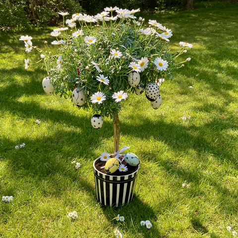 Cache-pot 770B | Decor 612