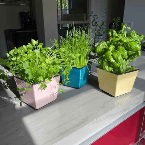 Cache-pot 757 | Decor 003