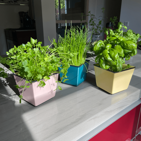 Cache-pot 757 | Decor 055-1
