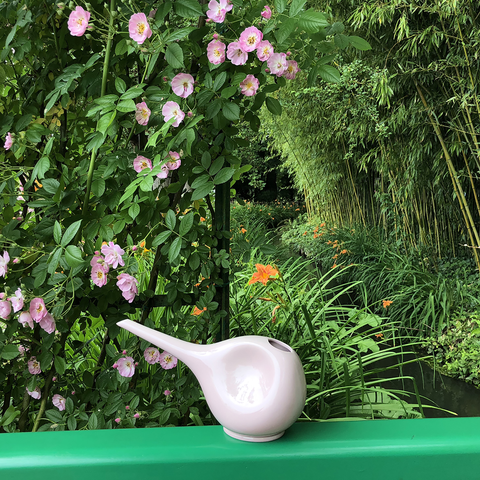 Arrosoir 766 | Decor 000