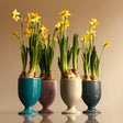 Verres Ensemble 4-tlg. 597 | Decor 999