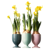 Verres Ensemble 3-tlg. 597 | Decor 999
